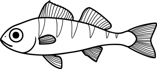 Coloring page with juvenile perch (Perca fluviatilis) freshwater fish isolated on white background