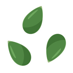 かぼちゃの種のイラスト_緑_パンプキンシード