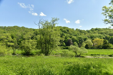 Fototapeta premium Prairies et broussailles dans la vallée de l'Ourthe à Esneux au sud de Liège