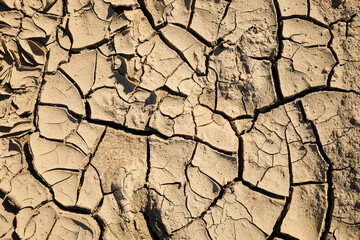 Cracked earth background. Parched Earth. Soil sonservation erosion.