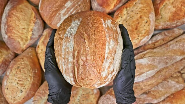 Hands in the gloves is holding bread