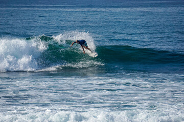 Fototapeta premium Surfer on perfect blue aquamarine wave, empty line up, perfect for surfing, clean water, Indian Ocean close to Mirissa