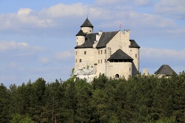 Fototapeta na wymiar Bobolice Castle, Krakow-Czestochowa Upland (Polish Jura), Poland
