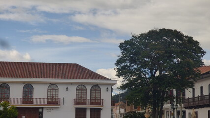 Colonial house, large green tree, blue sky and clouds.