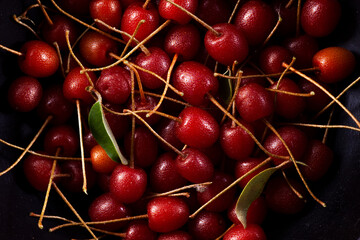 organic goumi berry in black background