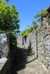Strada rurale lastricata con pietra tra muri di pietra e piante