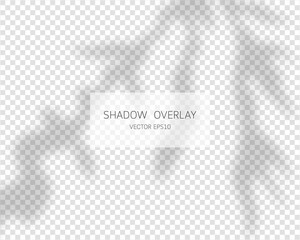 Shadow overlay effect. Natural shadows isolated on transparent background. Vector illustration. 