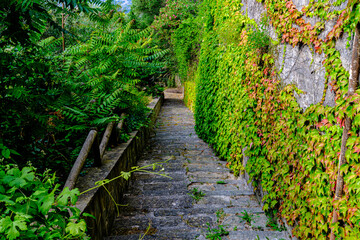 Castellabate, Salerno, Italy. Country lane with stairs and green plant