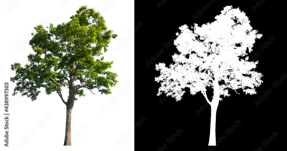 Poster green tree isolated on white background with post cut out original background and white background r