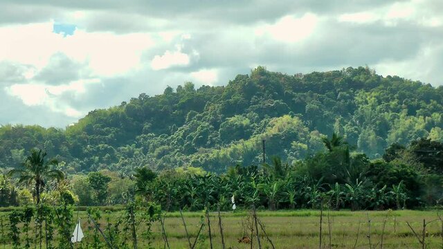 Jungle covered mountains on Panay island in the Philippines