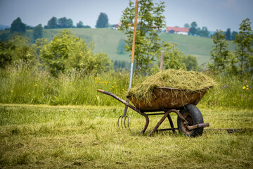 wheelbarrow on the farm land
