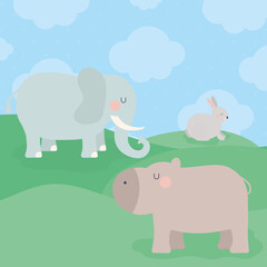 group of herbivore animals