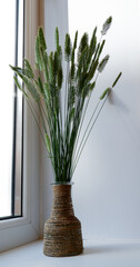 dried green flowers, spikelets in a whip vase by the window. dry grass in a transparent vase.