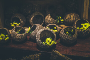 Yellow flowers in Coconut shell 