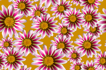 Fototapeta premium Seamless pattern with purple flowers on a yellow background.