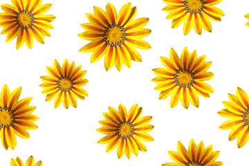 Seamless pattern with yellow flowers on a white background.