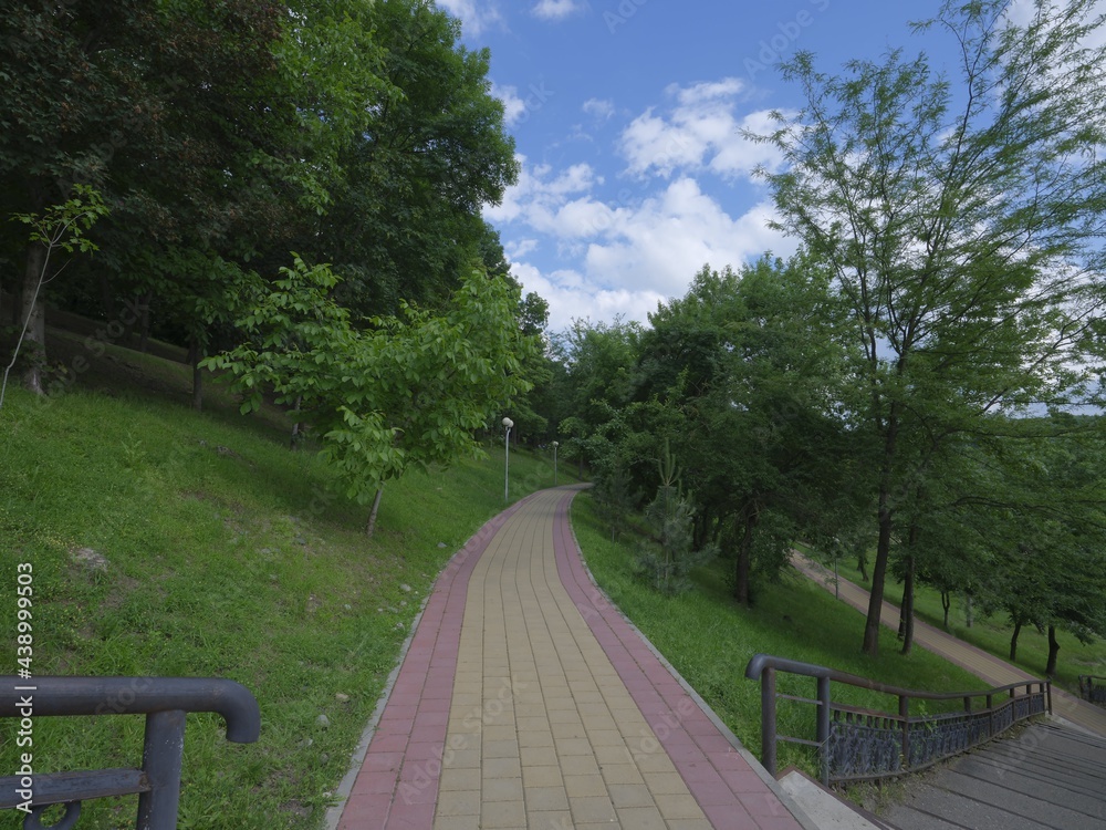 Wall mural fresh green roads in a park