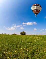 Bright hot air balloon flies over the field