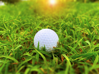 Golf ball close up on green grass on blurred beautiful landscape of golf course with sunrise,sunset time on background.Concept international sport that rely on precision skills for health relaxation.