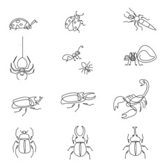 Bundle icon of cute funny insect in minimalist style