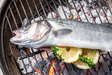 bass