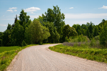 the rural not asphalted road passing through an forest