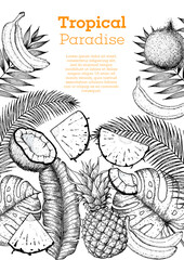 Pineapples, banana, coconut and tropical leaves design template. Hand drawn vector tropical fruit illustration. Engraved style fruit banner. Vintage botanical frame.