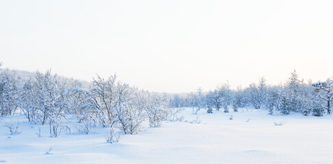 wonderful winter landscape on a sunny day.