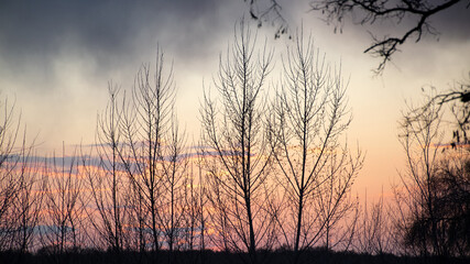 Obraz premium Mesmerizing sunset