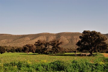 Paysage, montagne algerie