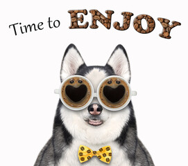 A dog husky in a bow tie wears coffee glasses. Time to enjoy. White background. Isolated.
