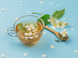 Jasmine flowers and jasmine tea on a blue background.