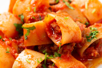 Piatto di mezzi paccheri con sugo di salsiccia, Cucina Italiana 