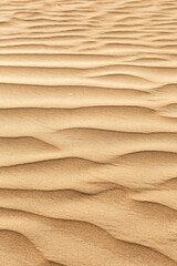 Fototapeta na wymiar Dubai desert sand in United Arab Emirates portrait format