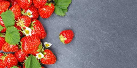 Strawberries berries fruits strawberry berry fruit copyspace copy space on a slate panoramic view