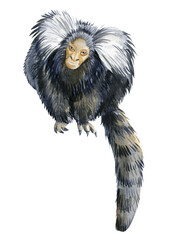 Little monkey on an isolated white background painted with watercolor