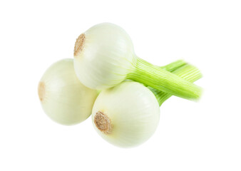 Three heads of fresh young onions isolated on a white background.