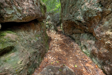 Broxton Rocks Preserve, Broxton, Georgia