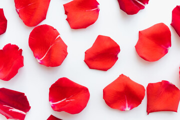 Naklejka premium red petals on a white background, rose petals on a white background, red petals, colored background 