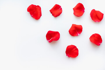 red petals on a white background, rose petals on a white background, red petals, colored background 