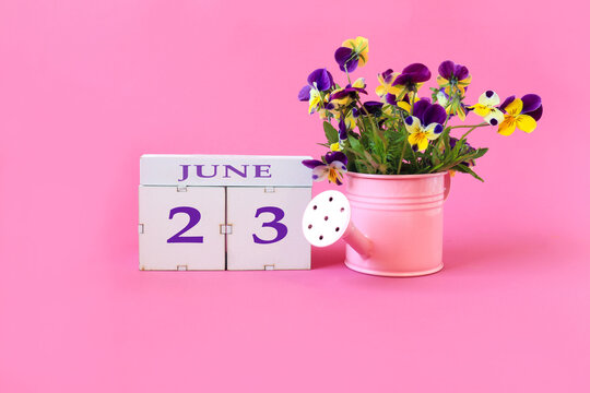 Calendar for June 23 : the name of the month of June in English, cubes with the number 23, a bouquet of violets in a pink watering can on a pink background, side view