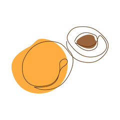 drawn by a solid dark line an apricot and a half of an apricot on a background of abstract orange and brown spots on a white background