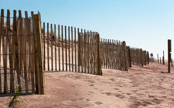 Wooden Picket Fences In Front Of The Sand Dunes On The Beaches Of Fire Island New York