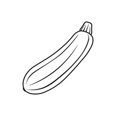 Zucchini icon. Vector. Line style.