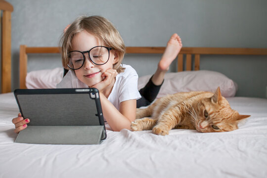 A little girl with glasses is doing her homework online, a fat ginger cat is lying nearby. Communication with relatives online. High quality photo