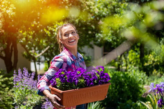 Young woman moving purple petunias in plant pot smiling.