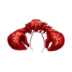 Lobster. Vintage hatching vector color illustration. Isolated on white