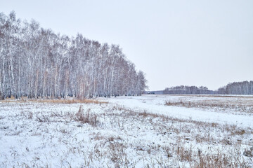 Field, meadow and grass with snow and cold cloudy sky. Beautiful winter landscape. Winter morning, day or evening