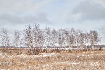 Field, meadow and grass with snow and cold cloudy sky. Beautiful winter landscape. Winter morning, day or evening