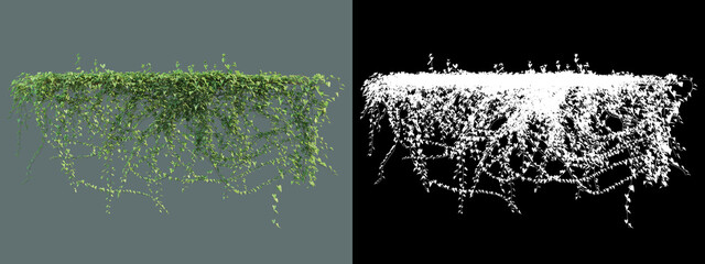 A wide variety of trees and shrubs
